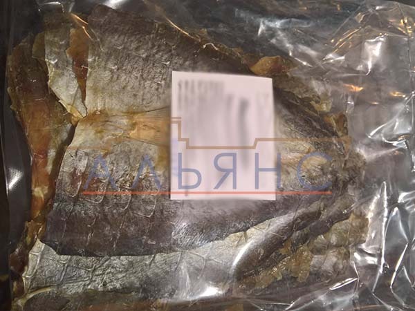 Царский полосатик с перцем в Норильске