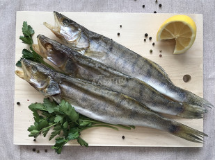 Вобла вяленая астраханская средняя: Судак вяленый